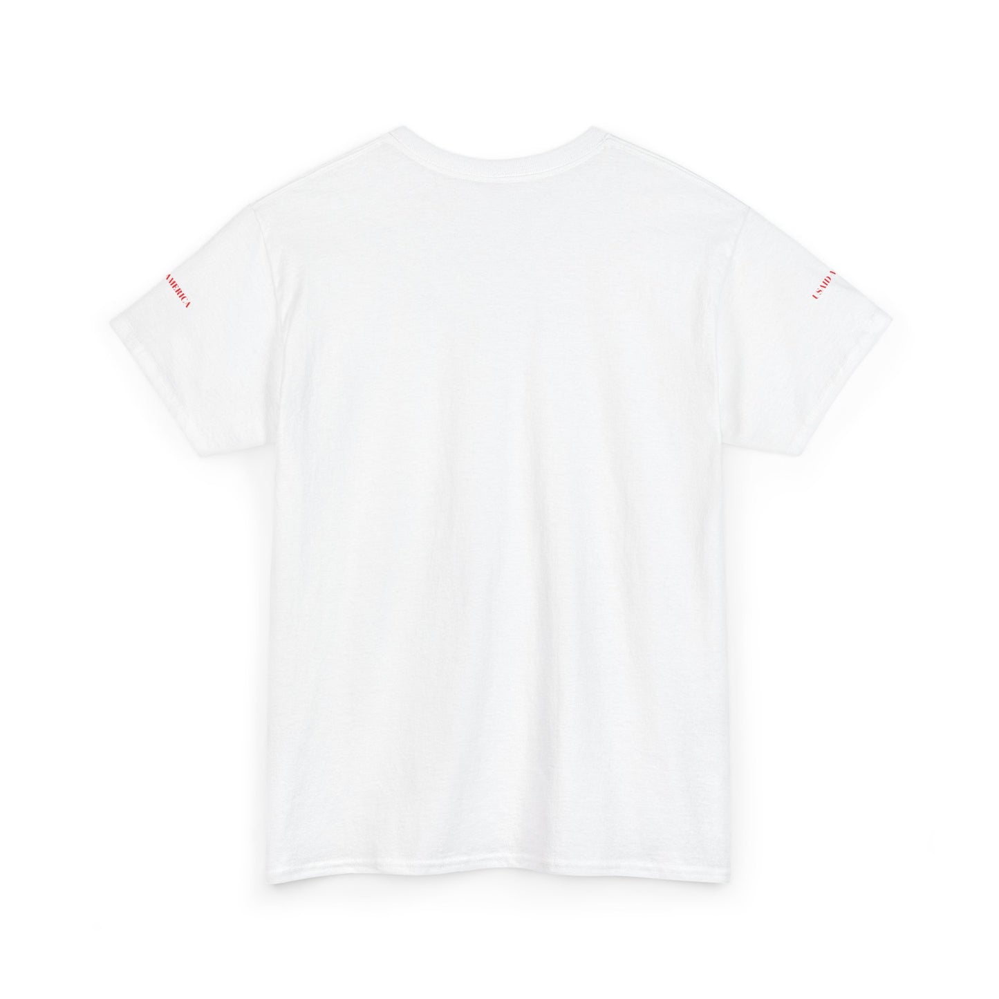 USAID Flying with God's Wings Tee