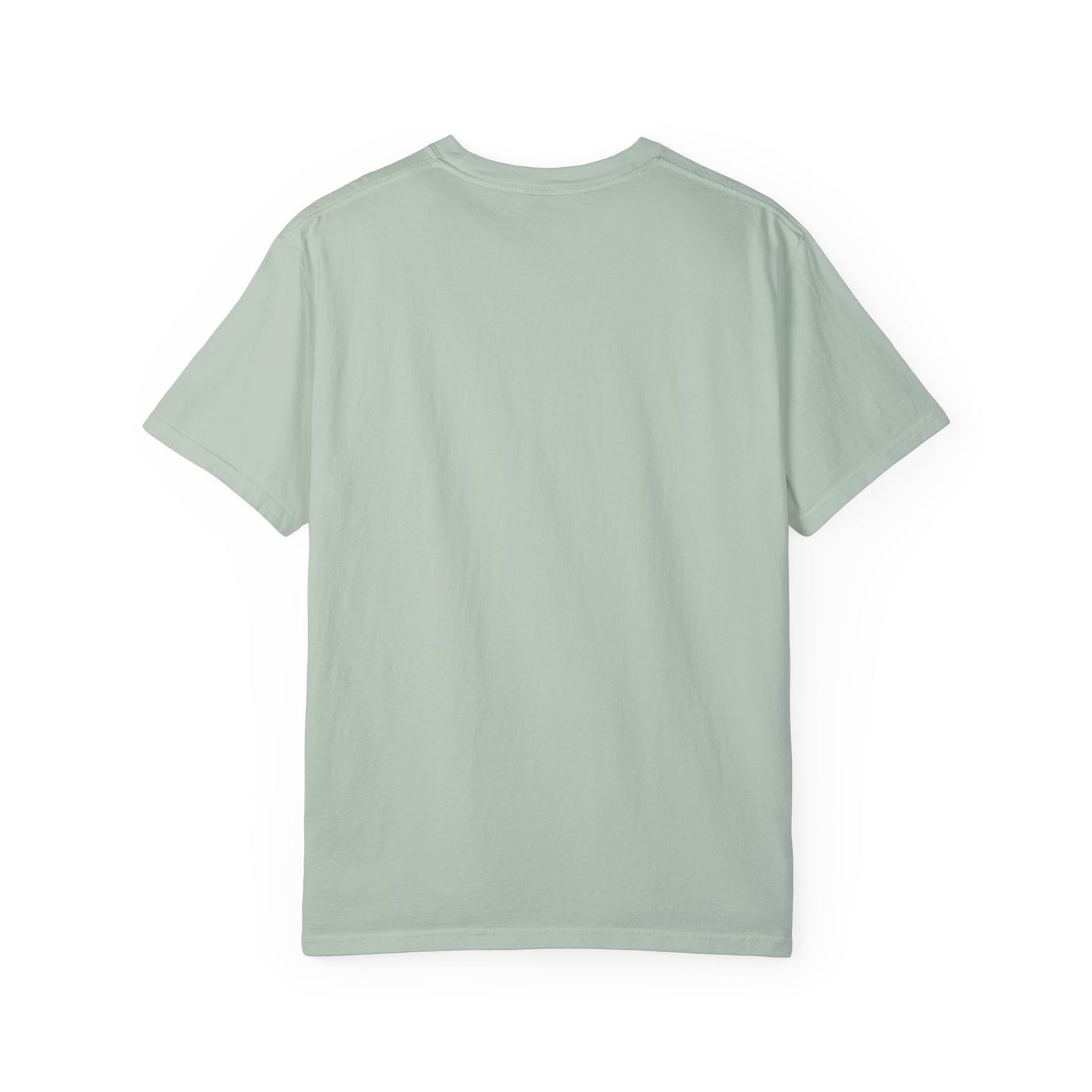 USIHA and USAID-America: Together Tshirt