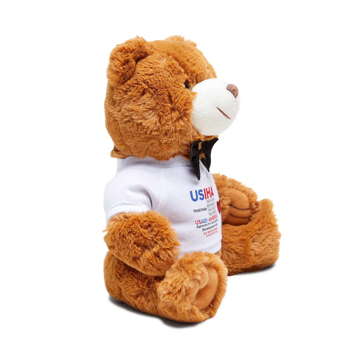 Teddy Bear Unites USIHA & USAID-America