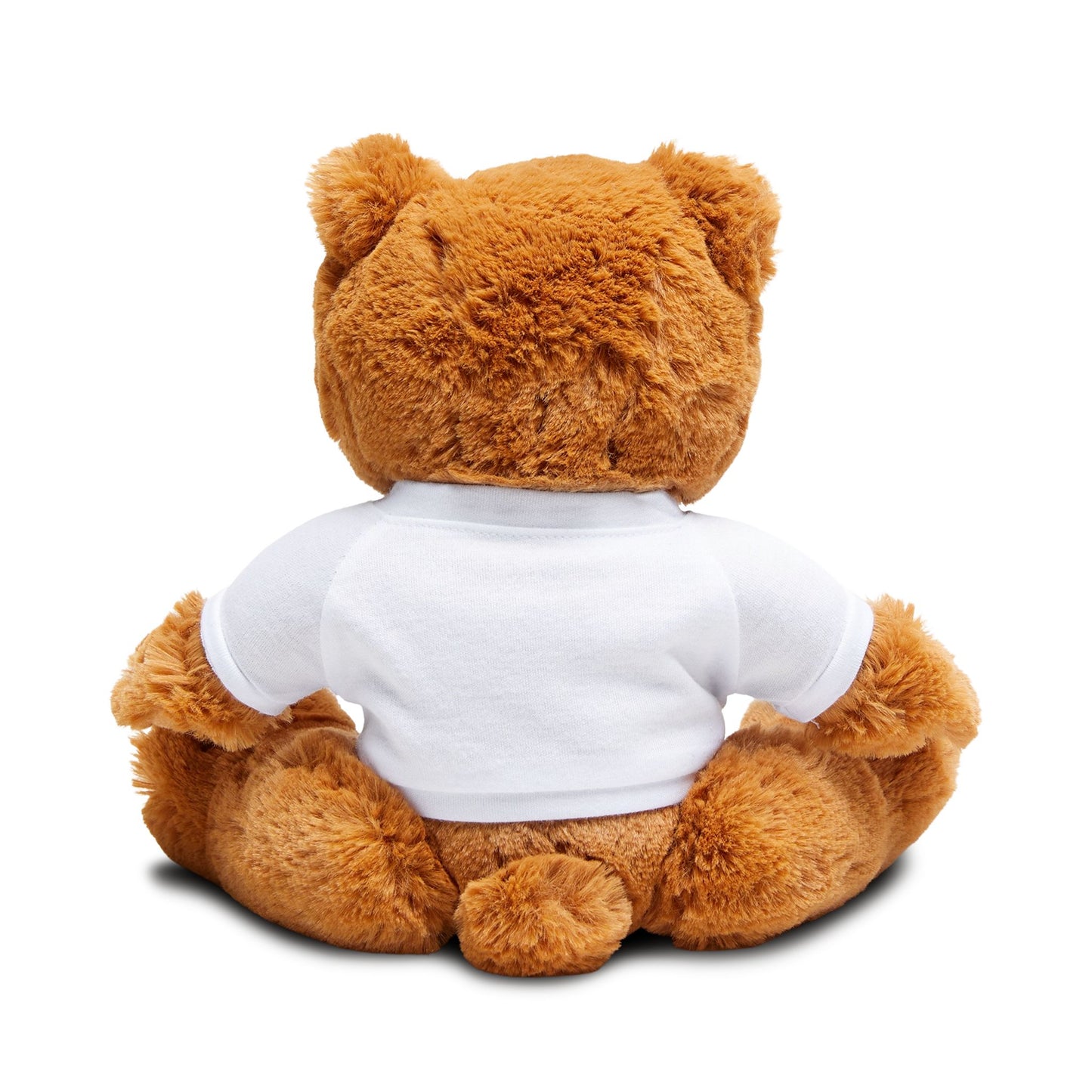 Teddy Bear Unites USIHA & USAID-America