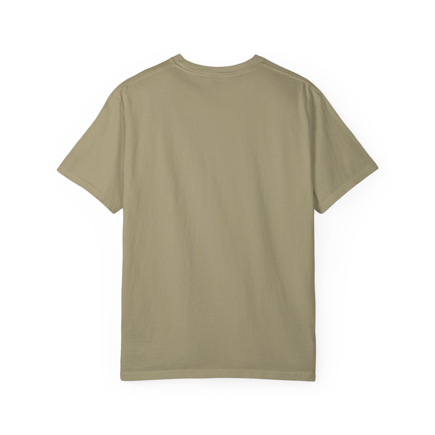 USIHA and USAID-America: Together Tshirt