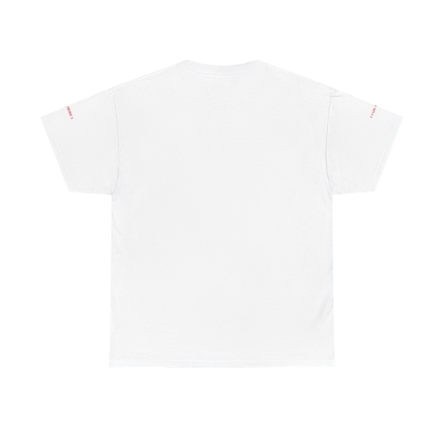 USAID Flying with God's Wings Tee