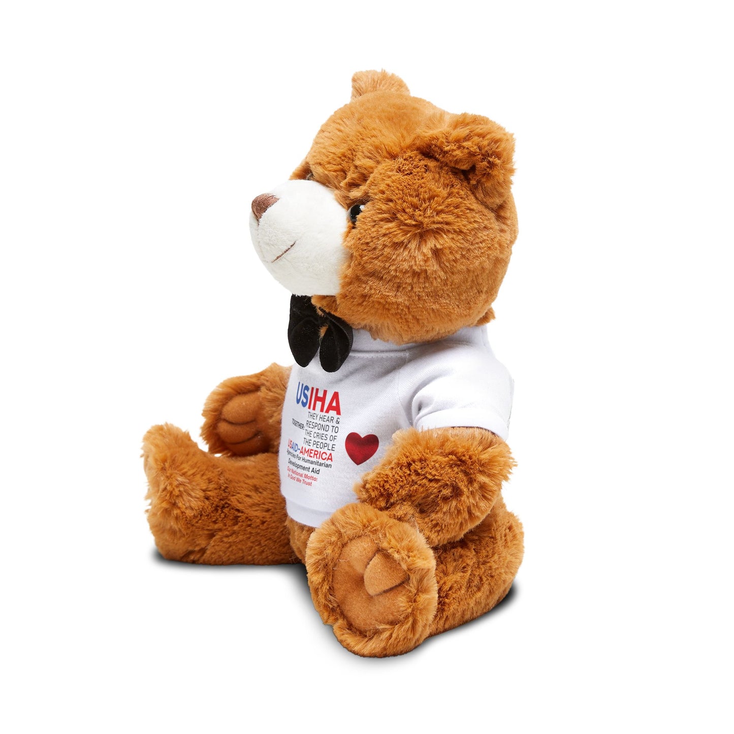 Teddy Bear Unites USIHA & USAID-America