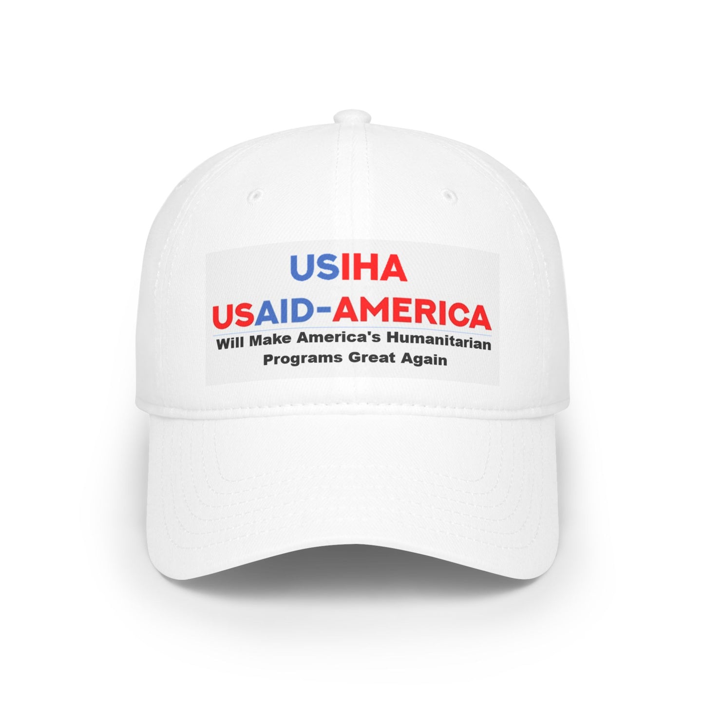 USIHA And USAID-America TOGETHER