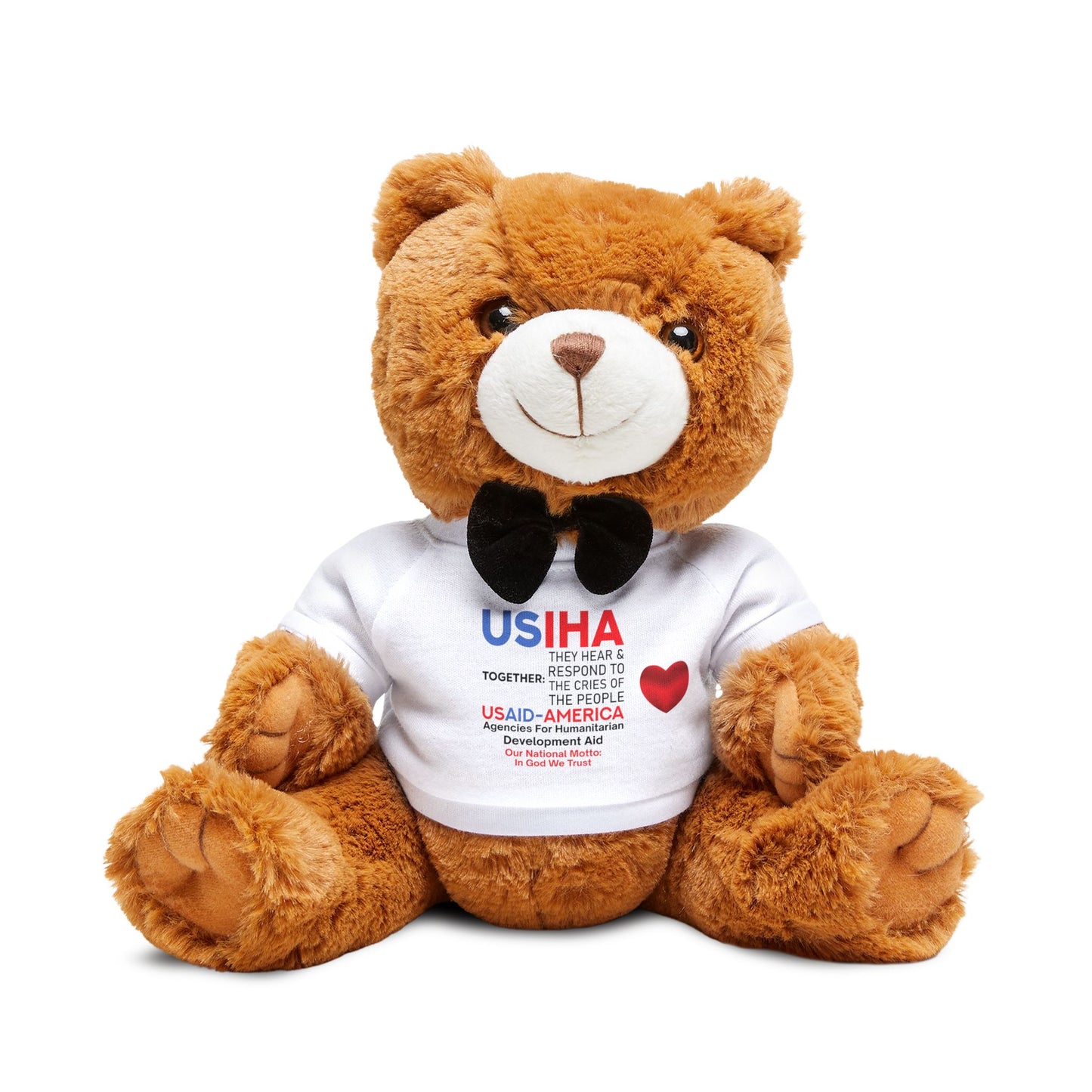 Teddy Bear Unites USIHA & USAID-America