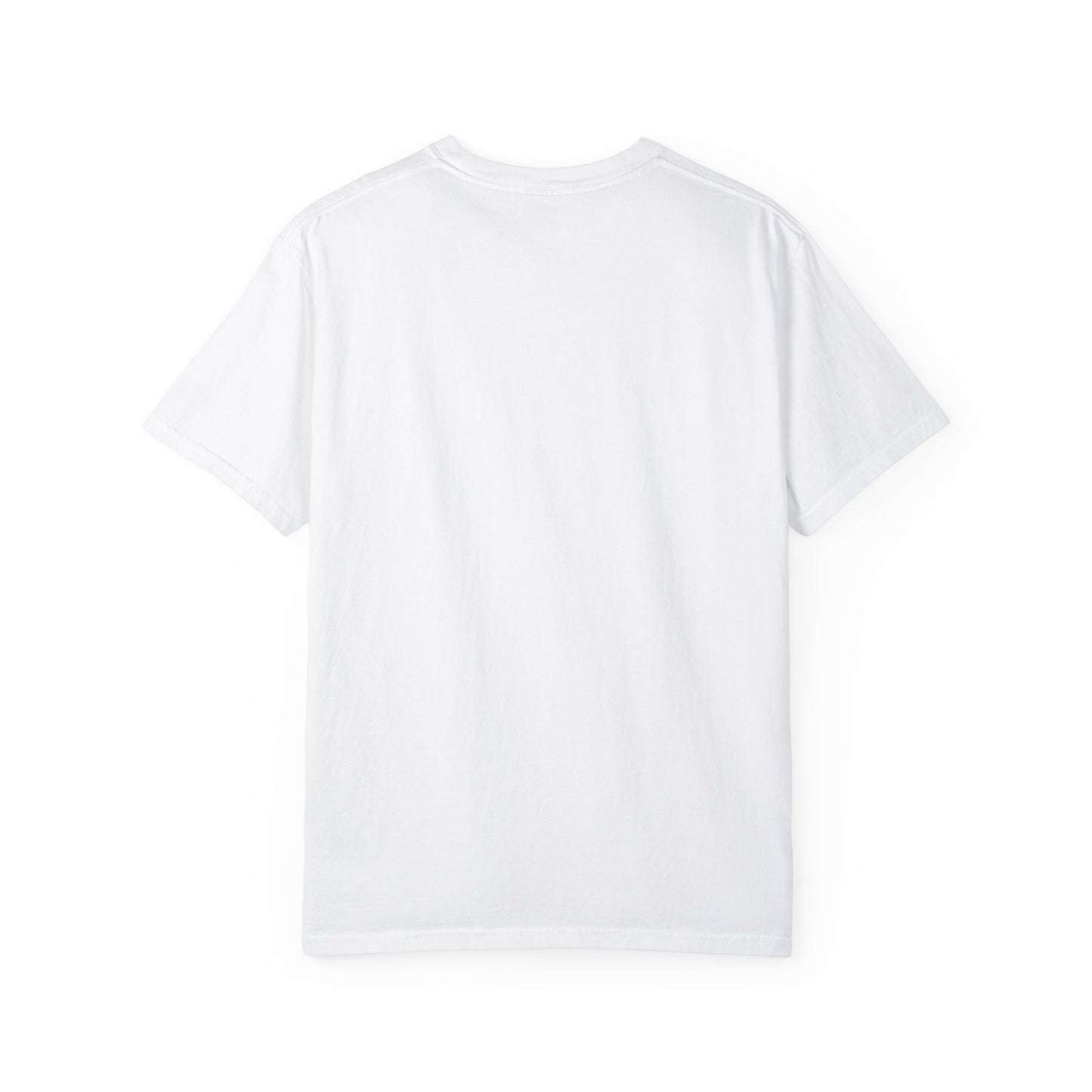 USIHA and USAID-America: Together Tshirt