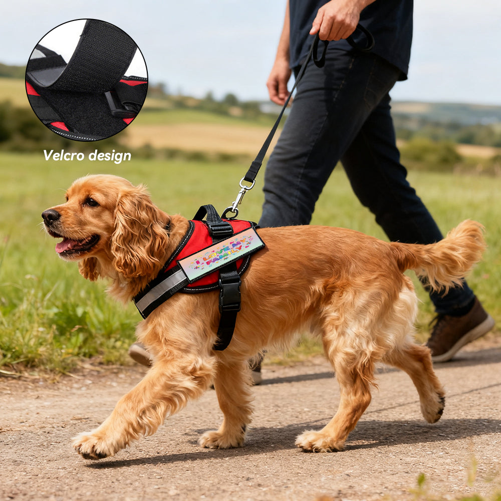 I Love My Family Pet Tugging Vest With Leather Patch