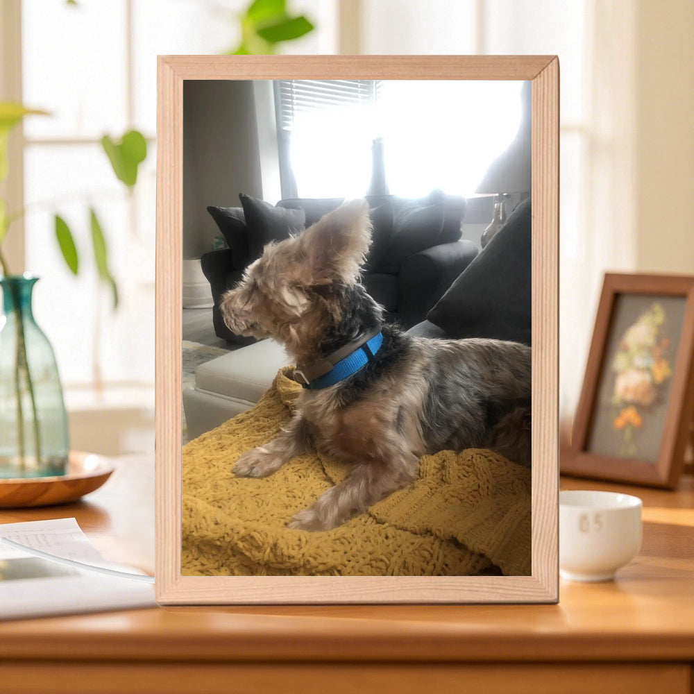 Pet Light Up Picture Frame(3 Color)-1 side print