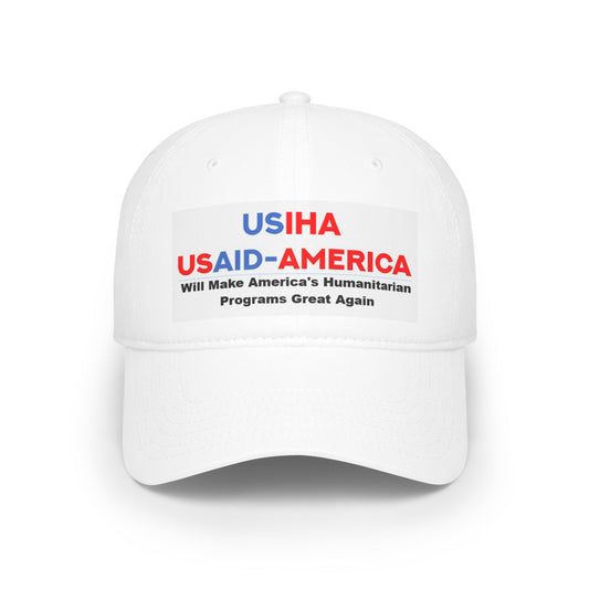 USIHA And USAID-America TOGETHER