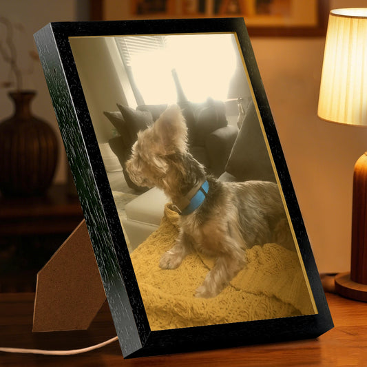 Pet Light Up Picture Frame(3 Color)-1 side print