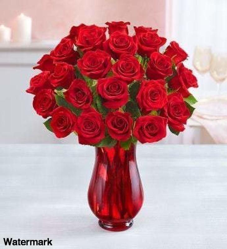 Lovely Lady Red Roses - Voiceopin International: Child Abuse Information & Online Shopping Center