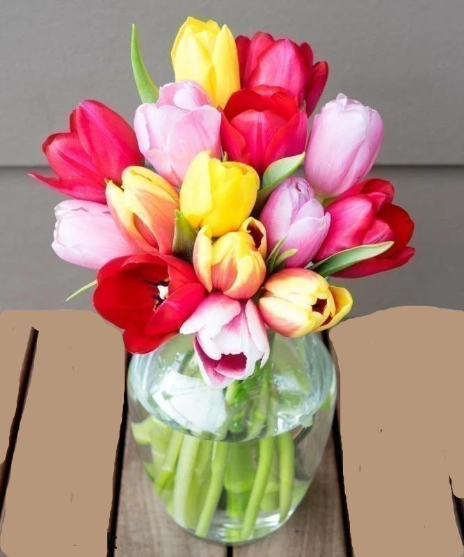 Morning Sunshine Tulips Flower Bouquet- 15 Buds - Voiceopin International: Child Abuse Information & Online Shopping Center