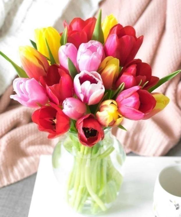 Morning Sunshine Tulips Flower Bouquet- 20 Stems - Voiceopin International: Child Abuse Information & Online Shopping Center